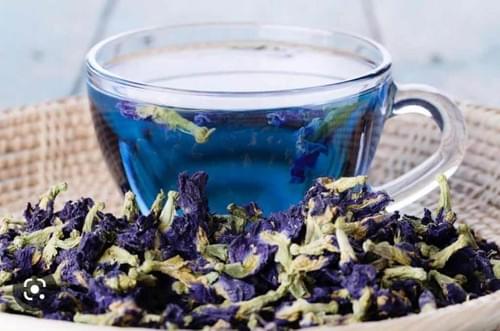 Playful Blue Butterfly Tea