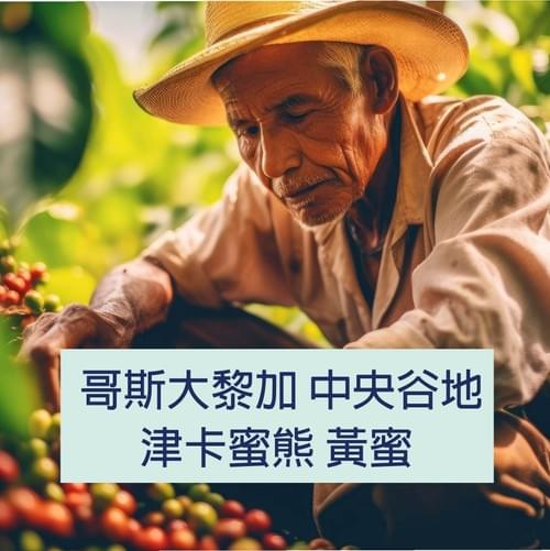 哥斯大黎加 中央谷地 津卡蜜熊