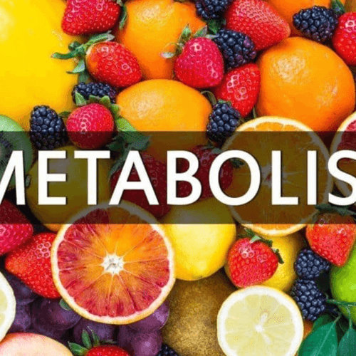 Private Label Metabolism Booster Powder | Green Coffee & B Vitamins