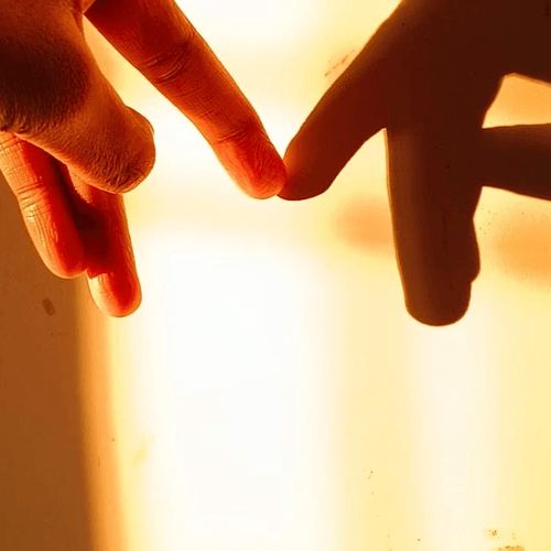 The Love Pathway