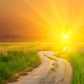 The Prosperity Pathway