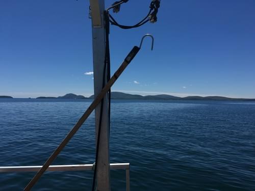 Aquaculture Site Evaluation - Urchin and Seaweed Farms