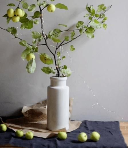 Soutenir & reconstruire