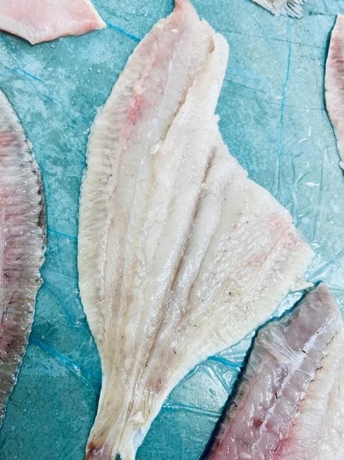 Frozen Flounder Fillets