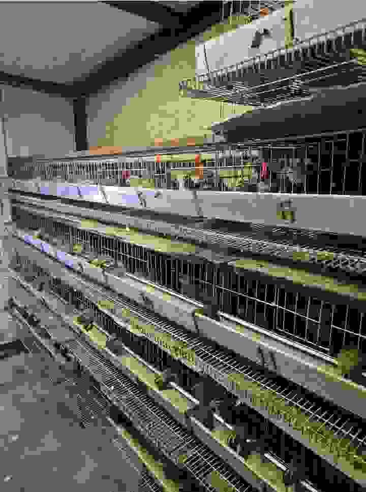 Section image