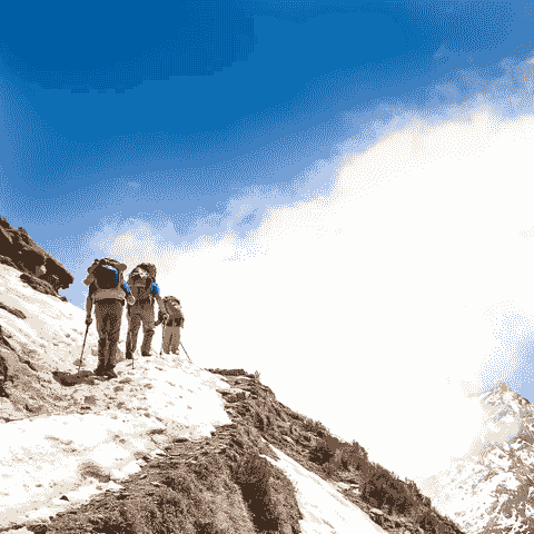 Section image