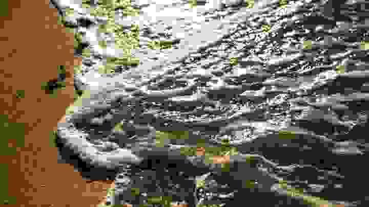 Section image