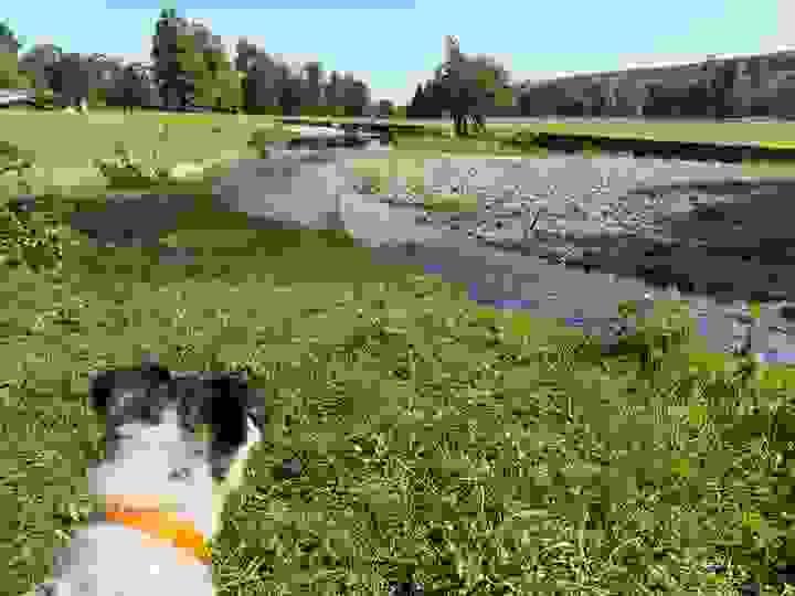 Section image