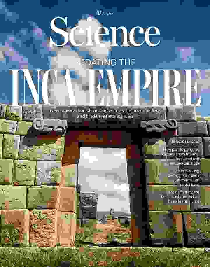 Section image