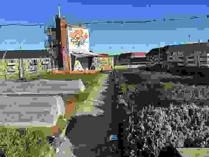 Section image