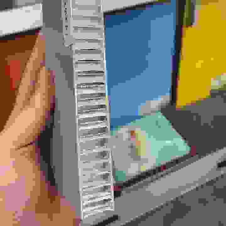 broken image