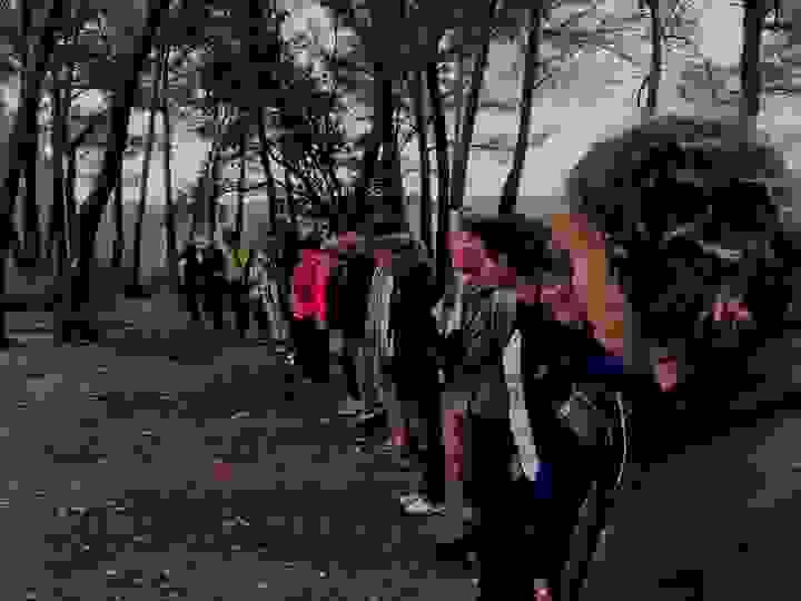 broken image