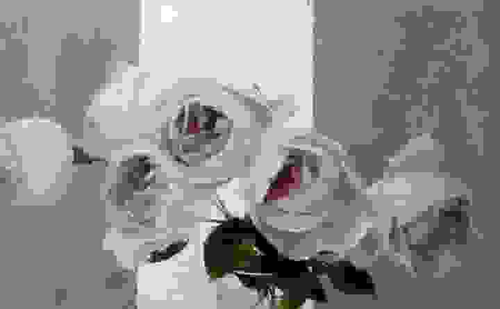 broken image