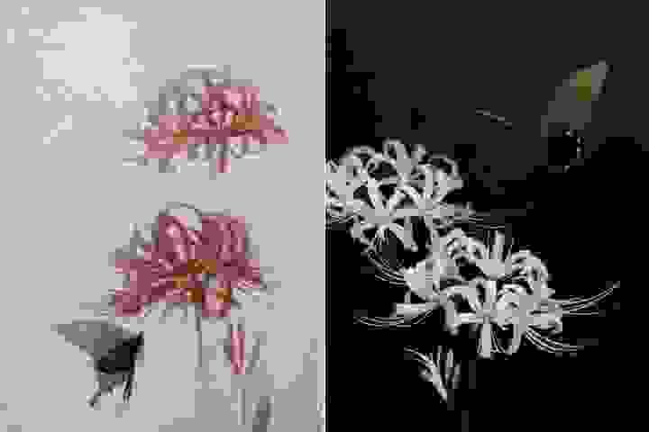 broken image