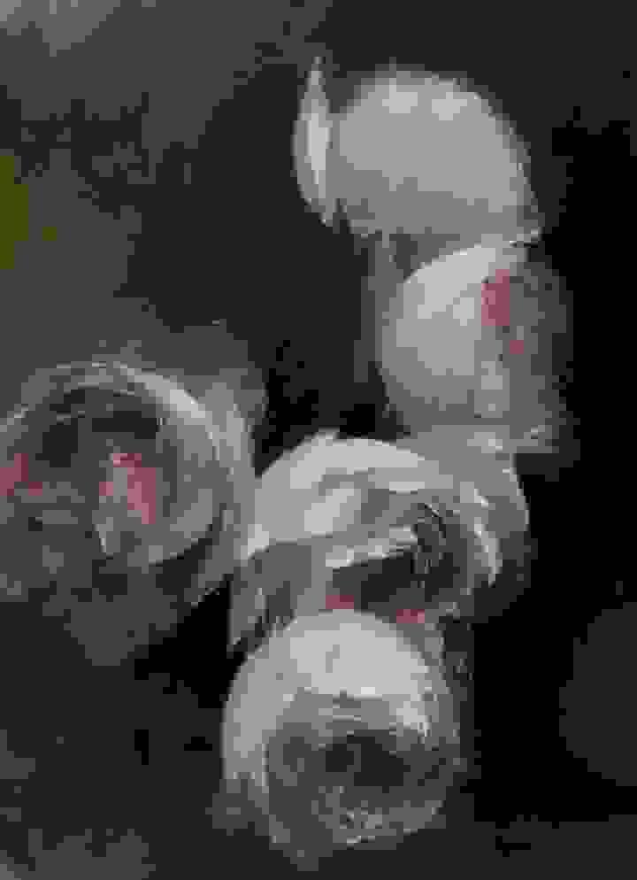 broken image