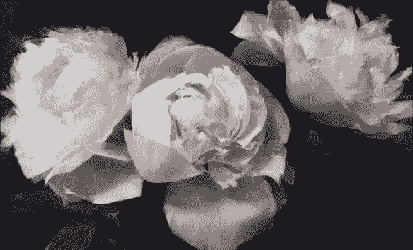 broken image