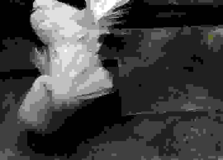 broken image