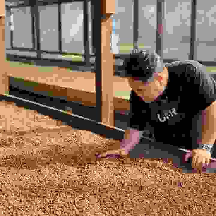 broken image