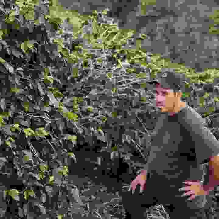 broken image