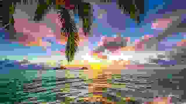 broken image