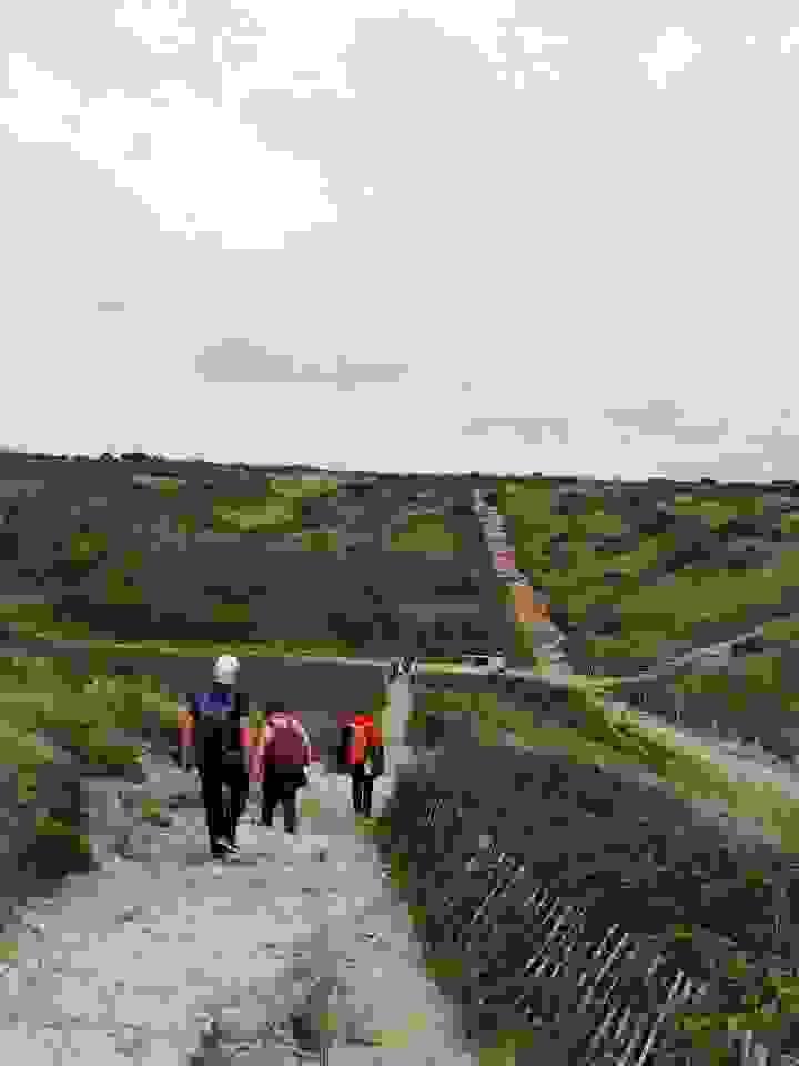 Section image