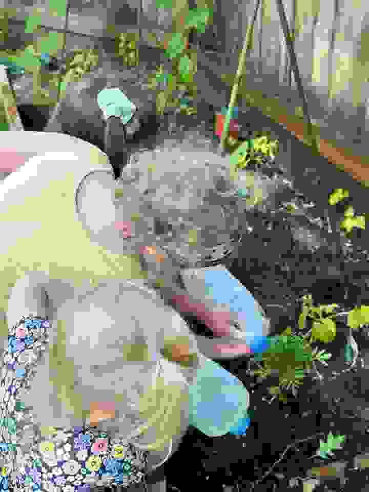 Section image