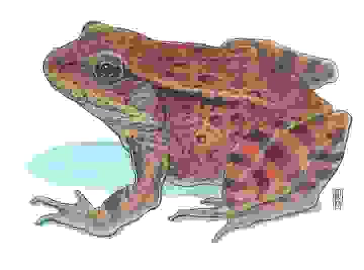 Section image