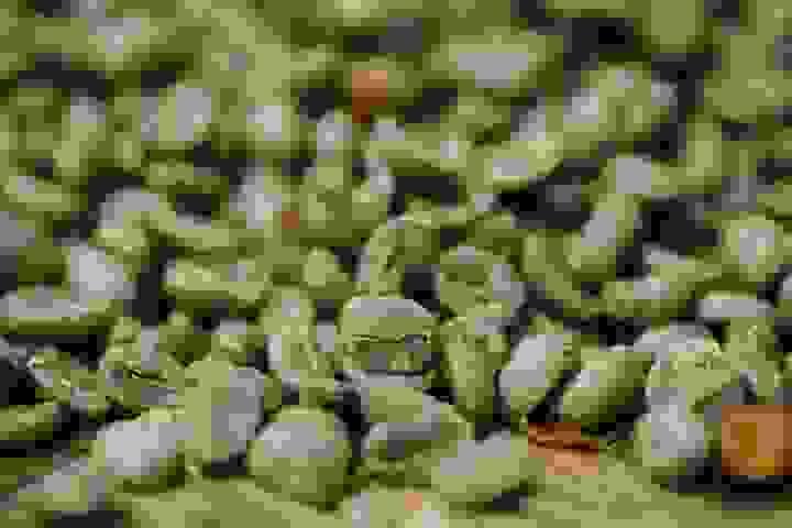 broken image