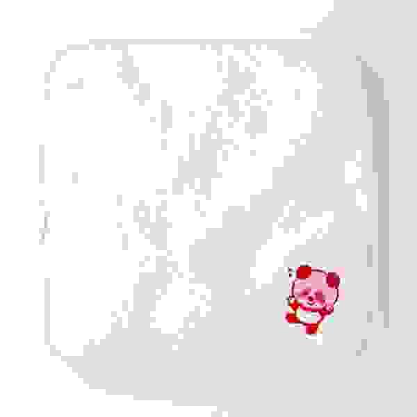 broken image