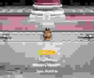 broken image