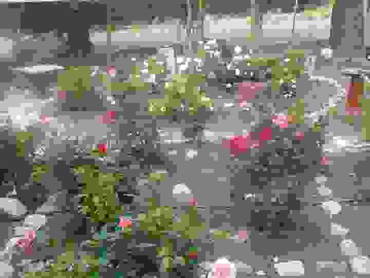 Section image