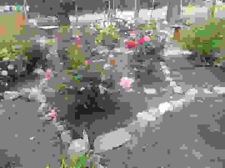 Section image