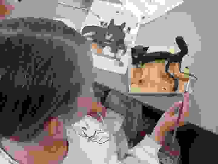 Our classes led by dedicated and enthusiastic tutors provide a comprehensive Children's Art Programme with after-school classes in drawing, painting, collage, mixed media, printmaking and sculpture Our classes led by dedicated and enthusiastic tutors provide a comprehensive Children's Art Programme with after-school classes in drawing, painting, collage, mixed media, printmaking and sculpture