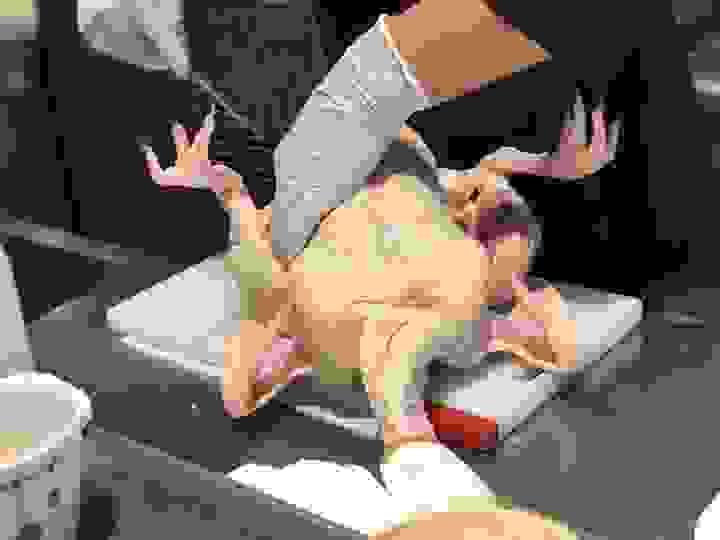broken image