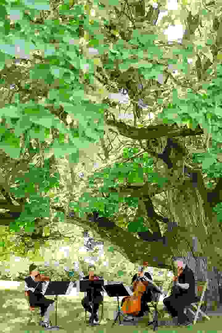 Section image