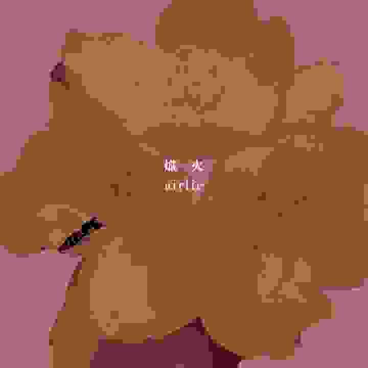 broken image