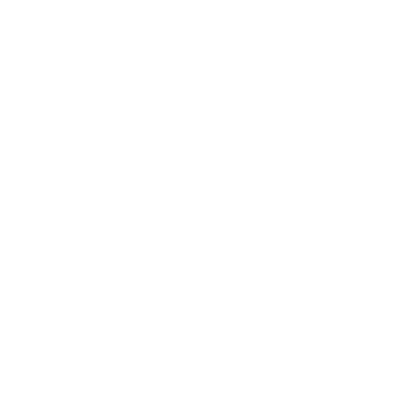 Copywriting for PRESS RELEASES Copywriting for PRESS RELEASES