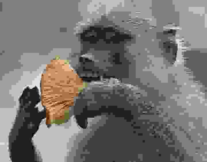 photo by Noah Siegel - 2025 photo by Noah Siegel - 2025