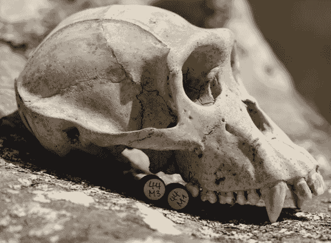 picture by Vicky Oelze picture by Vicky Oelze