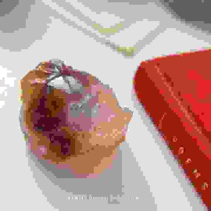 broken image