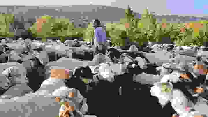 Section image