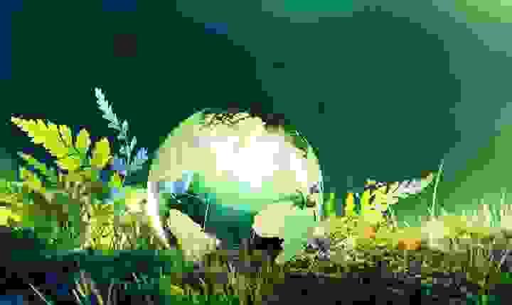 broken image