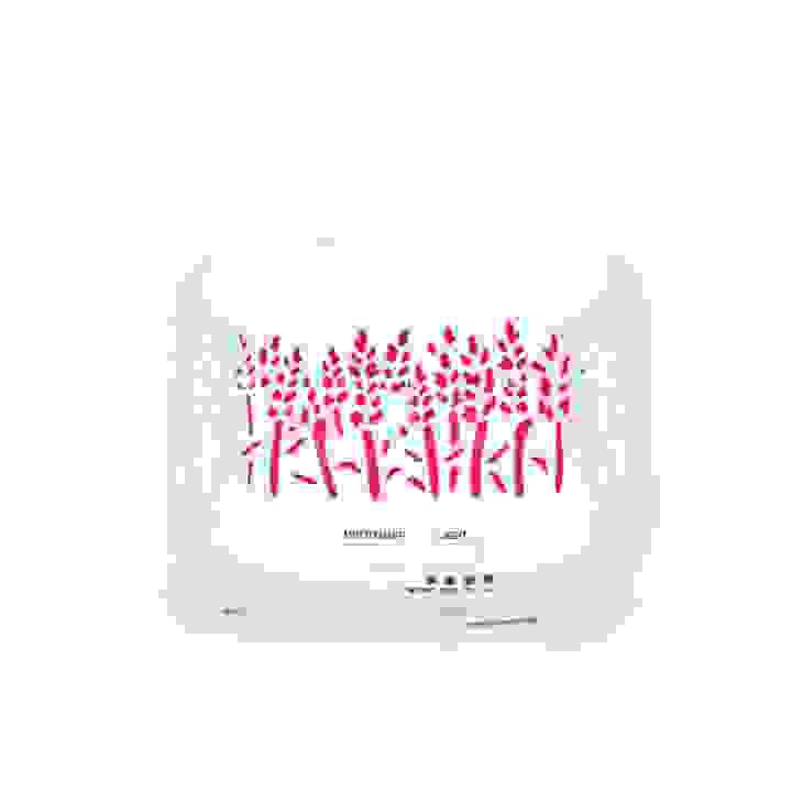 broken image
