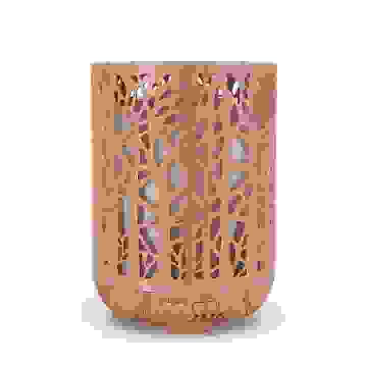 broken image