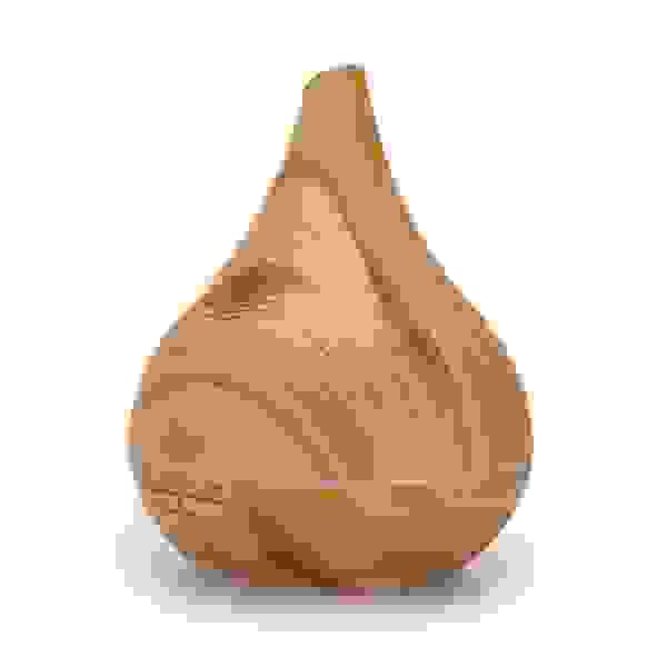 broken image