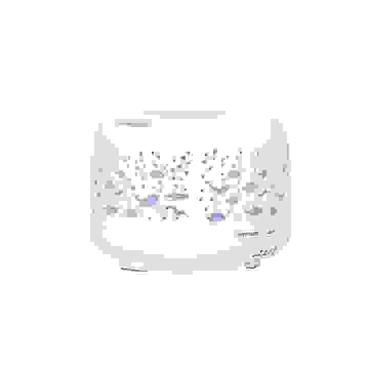 broken image