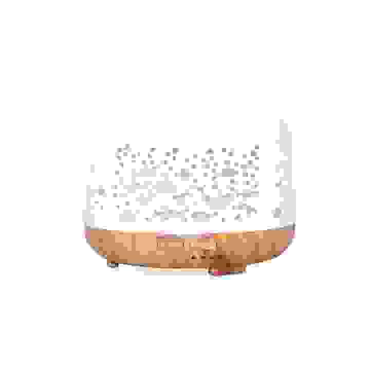 broken image