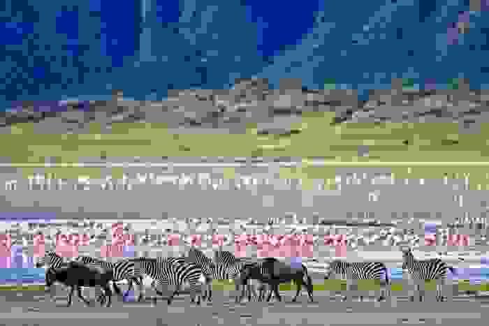Section image