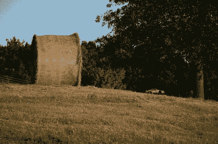 Section image