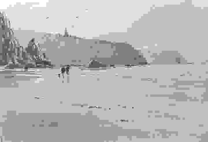Section image